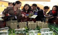 装修漏洞揭秘：常见套路与避坑指南，验收注意事项全解析-窗帘视界