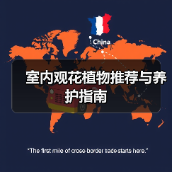 室内观花植物推荐与养护指南(图3) 室内观花植物推荐与养护指南(图3)