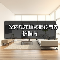 室内观花植物推荐与养护指南(图2) 室内观花植物推荐与养护指南(图2)