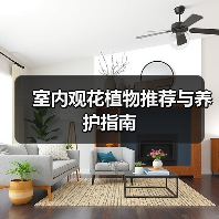 室内观花植物推荐与养护指南(图4) 室内观花植物推荐与养护指南(图4)