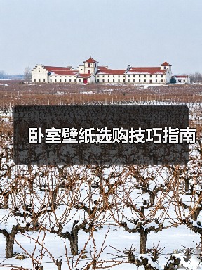 卧室壁纸选购要点：图案、环保与色彩搭配-窗帘视界