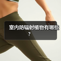 室内防辐射植物有哪些？（图3）