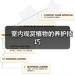 室内观赏植物的养护技巧（图2）