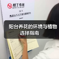 阳台养花的环境与植物选择指南(图3) 阳台养花的环境与植物选择指南(图3)