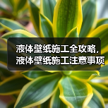 液体壁纸施工全攻略，液体壁纸施工注意事项（图4）