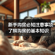 新手购房必知注意事项 了解购房的基本知识（图3）