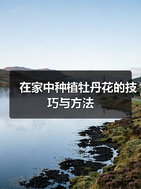 在家中种植牡丹花的技巧与方法(图4) 在家中种植牡丹花的技巧与方法(图4)