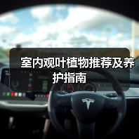 观叶植物提升家居美感与舒适度-窗帘视界