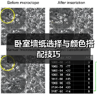 卧室墙纸选择与颜色搭配技巧（图4）