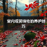 室内观赏植物的养护技巧（图3）