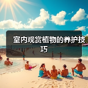 三种常见室内植物养护技巧：滴水观音、铁线蕨与橡皮树-窗帘视界