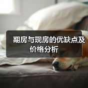 精明购房：期房现房优劣与价格对比分析-窗帘视界