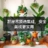 厨房吊顶选集成，安全美观更实用（图3）