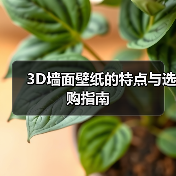 3D墙面壁纸的特点与选购指南（图4）