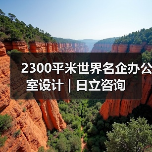 2300平米世界名企办公室设计 | 日立咨询（图4）