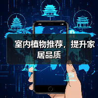 室内植物推荐，提升家居品质（图2）