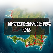 如何正确选择优质纯毛地毯（图2）