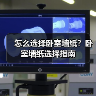 怎么选择卧室墙纸？卧室墙纸选择指南（图2）