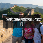 室内绿植摆放技巧与窍门（图4）