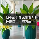 新中式为什么耐看？雅致素简，一眼万年！（图4）
