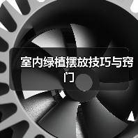 室内绿植摆放技巧与窍门（图3）