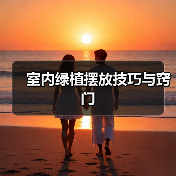 室内绿植摆放技巧与窍门
