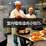 室内植物选购小技巧