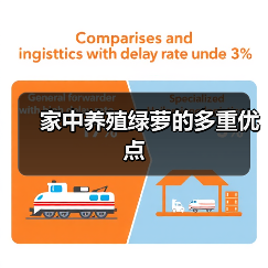 家中养殖绿萝的多重优点（图2）