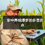 家中养殖绿萝的多重优点（图3）