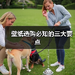 壁纸选购必知的三大要点（图2）