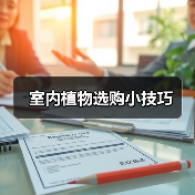 室内植物选购小技巧（图3）
