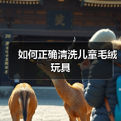 如何正确清洗儿童毛绒玩具(图1) 如何正确清洗儿童毛绒玩具(图1)