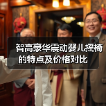 智高豪华震动婴儿摇椅的特点及价格对比（图4）