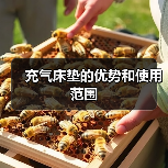 充气床垫的优势和使用范围(图4) 充气床垫的优势和使用范围(图4)
