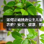 如何正确挑选公主儿童衣柜?安全、健康、款式三大原则!(图2) 如何正确挑选公主儿童衣柜?安全、健康、款式三大原则!(图2)