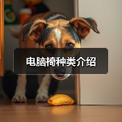 电脑椅种类介绍(图2) 电脑椅种类介绍(图2)