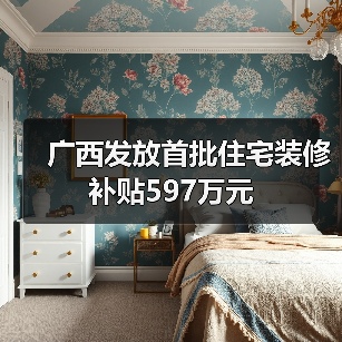 广西发放首批住宅装修补贴597万元（图3）