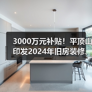 3000万元补贴！平顶山印发2024年旧房装修、厨卫等局部改造消费补贴实施细则（图4）