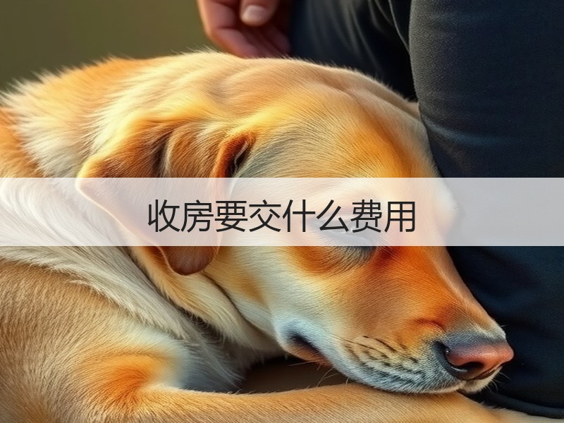 新业主收房常见费用解析：契税、维修基金等明细清单-窗帘视界