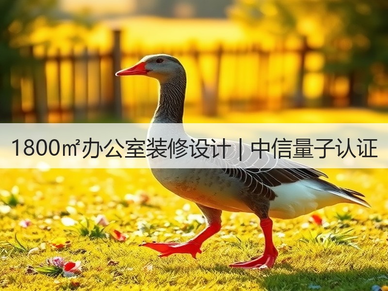 现代风格空间设计：中信电子认证办公与接待区的创新融合-窗帘视界