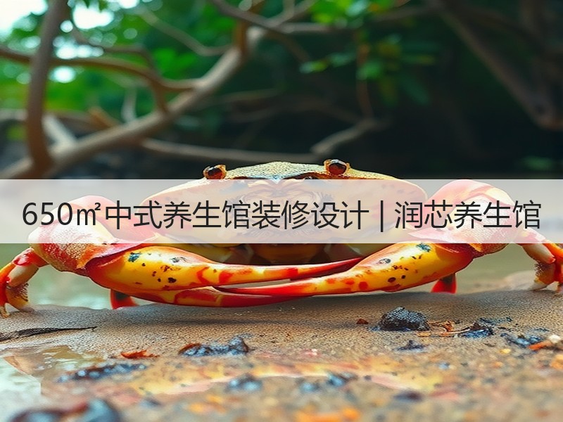 新中式风格养生馆设计融合自然元素解析-窗帘视界