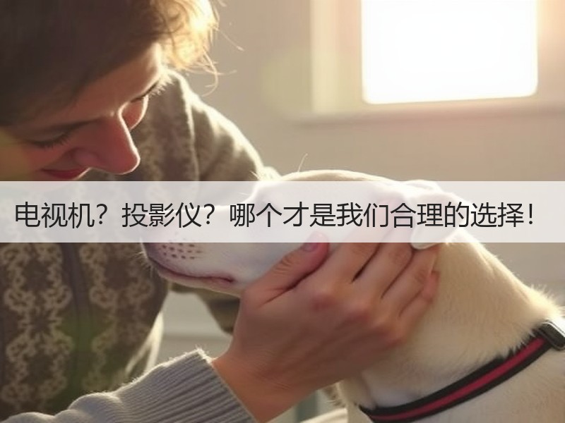 电视vs投影仪家用选哪种更合适-窗帘视界