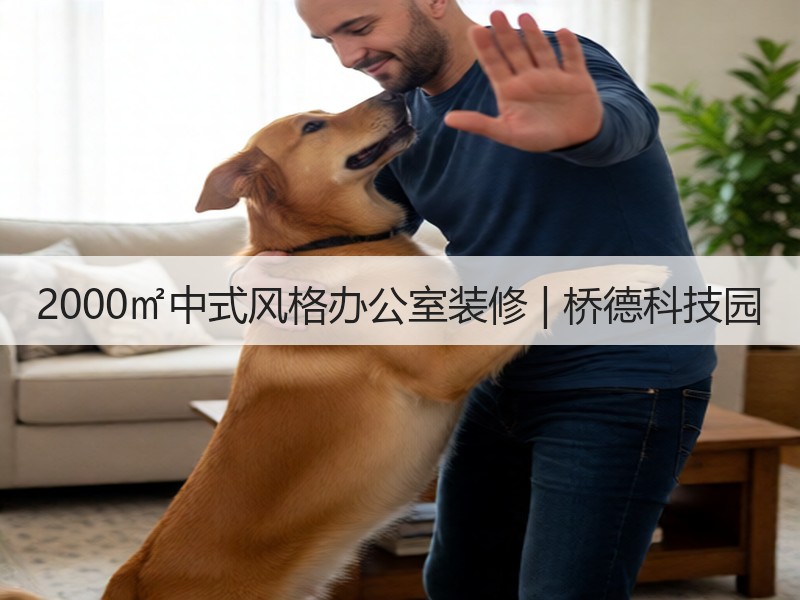 安静空间传递文化价值 中式工装设计融合传统与现代-窗帘视界