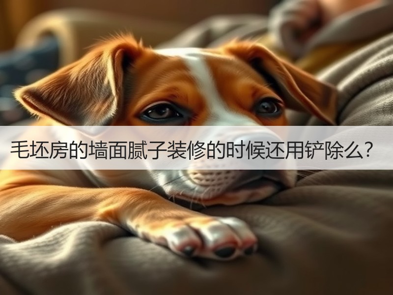毛坯房墙面腻子是否需铲除？质量与需求的抉择-窗帘视界