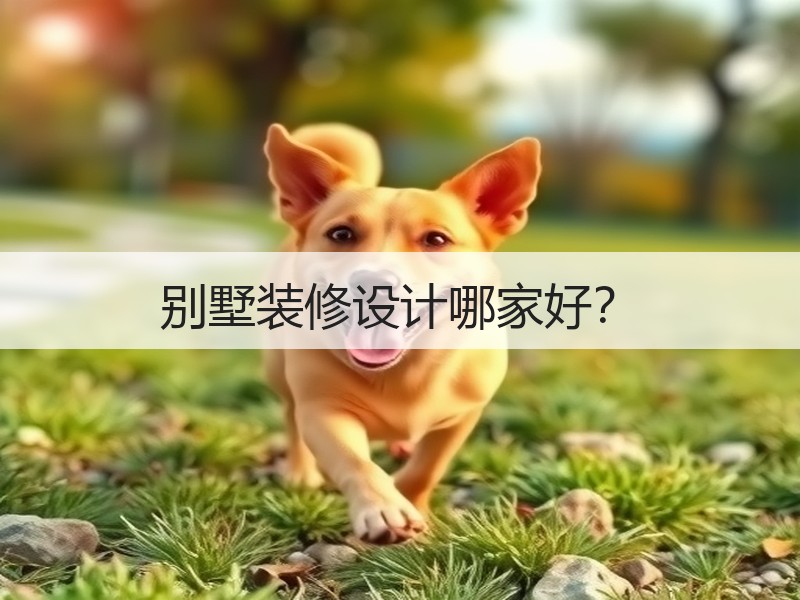 别墅装修设计选对团队是关键-窗帘视界