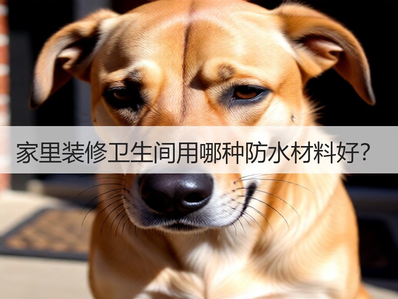 卫生间防水材料如何选？聚合物、聚氨酯、丙烯酸优缺点对比-窗帘视界