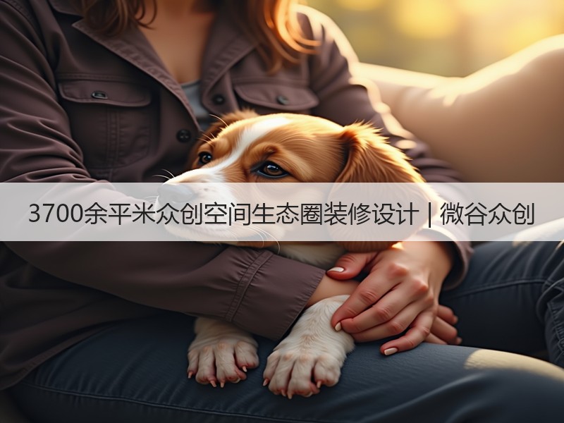 深圳坂田联合办公空间设计展示工业风格首推多功能分区-窗帘视界