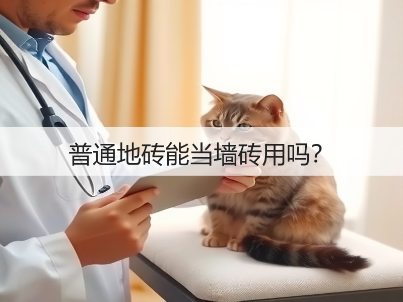 装修瓷砖常见误区解析：大规格铺贴与缝隙处理方-窗帘视界