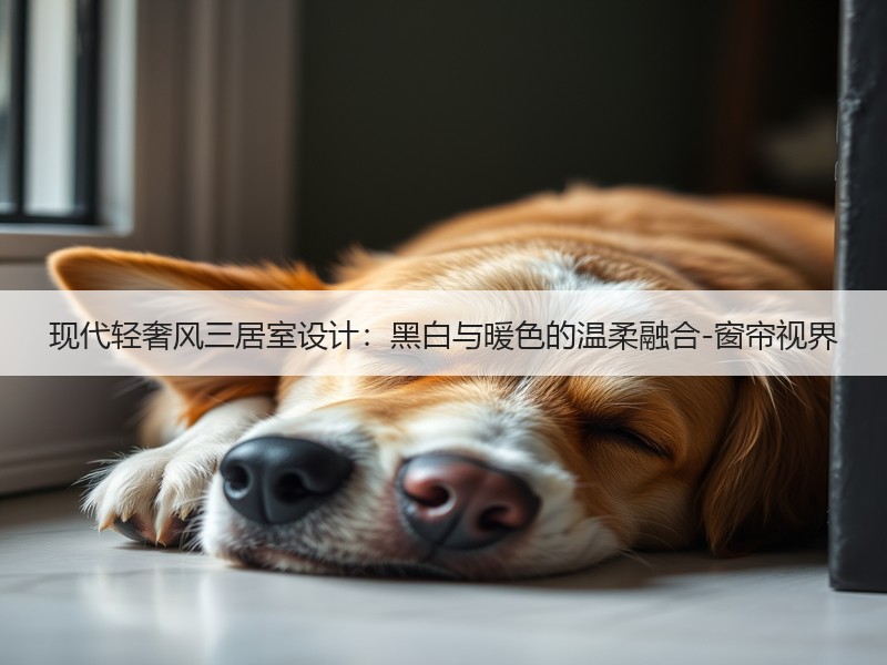 现代轻奢风三居室设计：黑白与暖色的温柔融合-窗帘视界