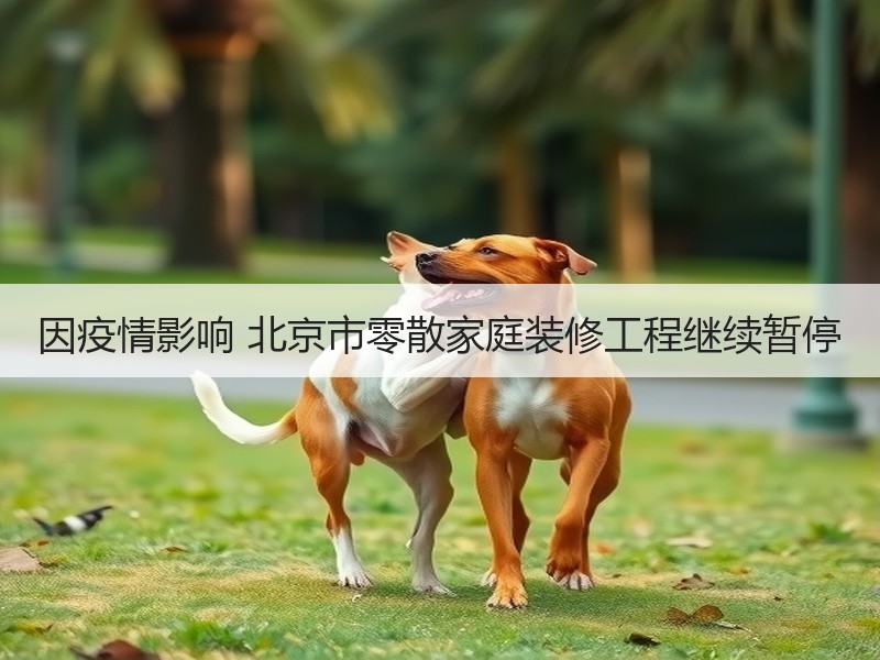 北京暂停小区零散装修 严控疫情传播风险-窗帘视界